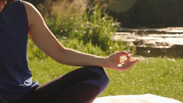 Mudra hand position. Female hand in mudra gesture. Yoga or meditation inspiration — 图库视频影像