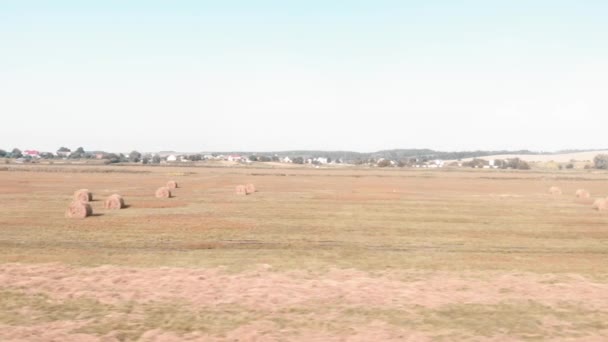 Green-orange field with round straw sheaves of hay. Agriculture farming. Straw on meadow — Stockvideo