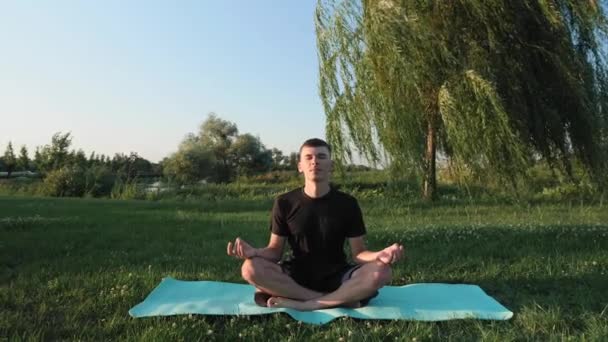 Mannen som sitter på träningsmatta i Lotus poserar på gräs i sommarparken. Yoga och meditation — Stockvideo