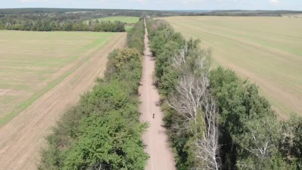 Rowerzysta jeździ na rowerze po żwirowej drodze. Kobieta jeżdżąca na rowerze. Przygody żwirowe — Wideo stockowe