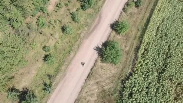 Vrouw fietsend op een onverharde weg. Fietser rijdt grindfiets. Grindweg fietsen — Stockvideo