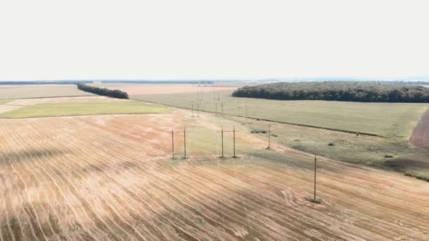 Lignes électriques à haute tension dans le champ. Poteaux électriques dans les champs cultivés d'automne — Video
