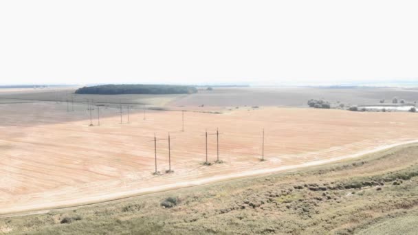 Linie energetyczne na polu. Wysokonapięciowe słupy lub wieże wysokiego napięcia w rolnictwie — Wideo stockowe