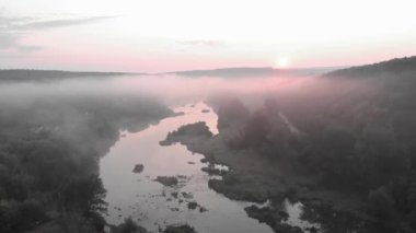 Güzel sisli nehir ve orman. Sabah ormanı sisli. Gün doğumunda kırsal alan