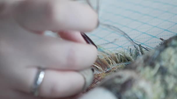 Femme couture broderie de la nature. Tissu brodé avec motif coloré — Video