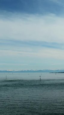 Konstanz şehrinde, Almanya 'da su yüzeyinde beyaz kuğular yüzüyor. Konstanz Gölü 'nde sakin mavi sular ve arka planda karlı dağlar. Dikey video