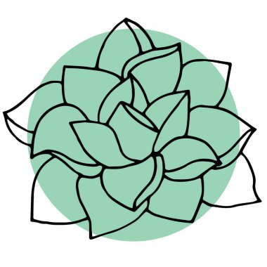 Sulu, beyaz arka planda bitki elle çizilmiş, logo, çocuk tekstili, ambalaj kağıdı, kapak.