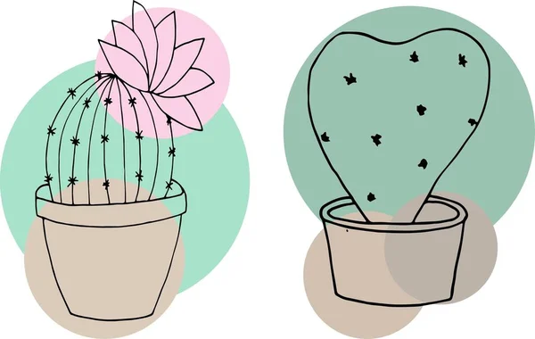 Cactus Dibujados Mano Sobre Fondo Blanco Aislado —  Fotos de Stock