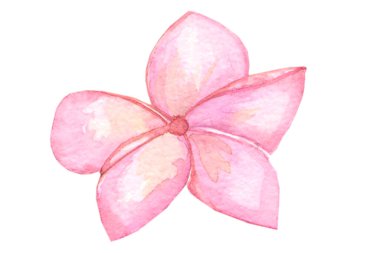 İzole edilmiş beyaz arka plan çiziminde tropikal yaprakların suluboya resmi. Logo, ambalaj, baskı kumaşı, kart sıkma.