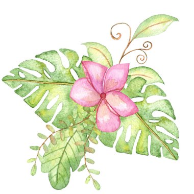 Beyaz yalıtılmış arka plan çiziminde tropik çiçeklerin suluboya bileşimi ve yapraklar. Logo, ambalaj, baskı kumaşı, kart sıkma.