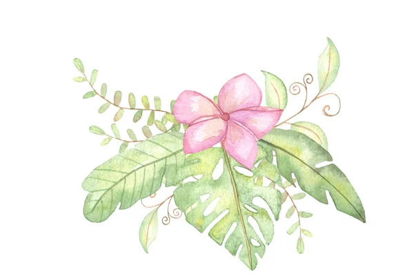Composición Acuarela Flores Tropicales Hojas Sobre Fondo Blanco Aislado Dibujo —  Fotos de Stock