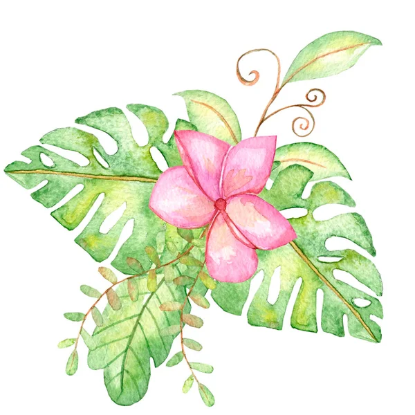 Watercolor Composition Tropical Flowers Leaves White Isolated Background Hand Drawing — Stock Photo, Image