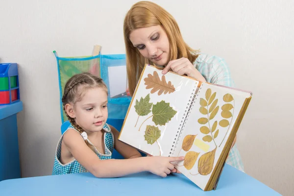 Pięcioletnia dziewczyna i matka bada herbarium pokazuje na jednym arkuszu albumu — Zdjęcie stockowe