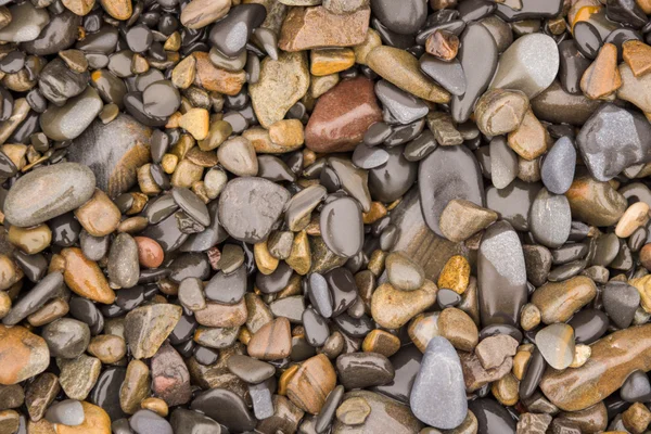 Texture de fond des cailloux de mer mouillés de taille moyenne — Photo