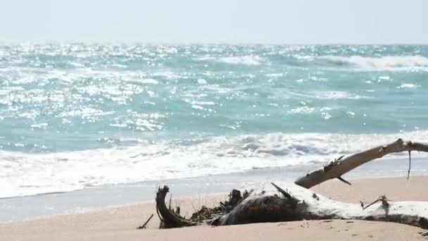 SnagIt fuori dall'acqua sullo sfondo di un mare tempestoso — Video Stock