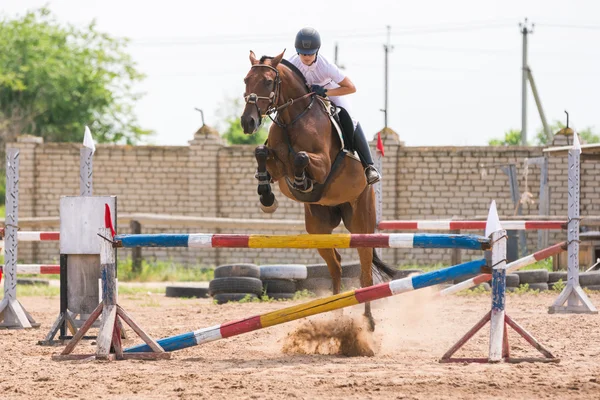 Volgograd, Russia - 19 giugno 2016: Gli atleti allenano un cavallo facendo un salto attraverso la barriera — Foto Stock