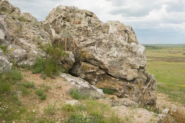 Zbliżenie skamieniałości na górskim regionie głęboko w Kamyshin Wołgograd — Zdjęcie stockowe