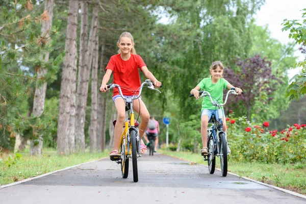 Dos Chicas Montan Bicicleta Carril Bici —  Fotos de Stock