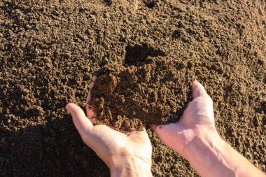 Avuçlarda verimli toprakları tutan eller, yakın plan.