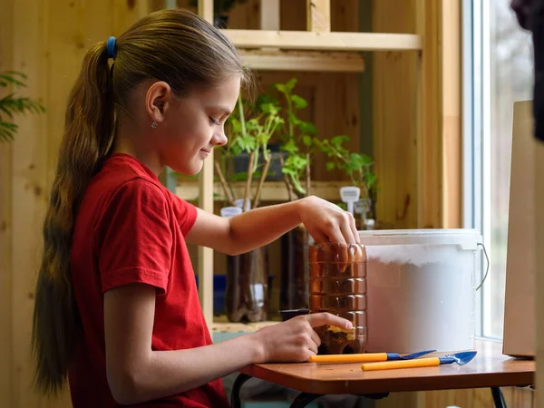 Girl Pouring Soil Plastic Bottle Planting Seedlings Garden Plants Royalty Free Stock Photos