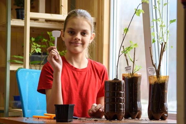 女の子はプラスチックボトルのポットにベリーブッシュの苗を植えることに従事しており 彼女の手の中に植物の名前を持つポインタを保持し 喜んでフレームを見ています ストックフォト