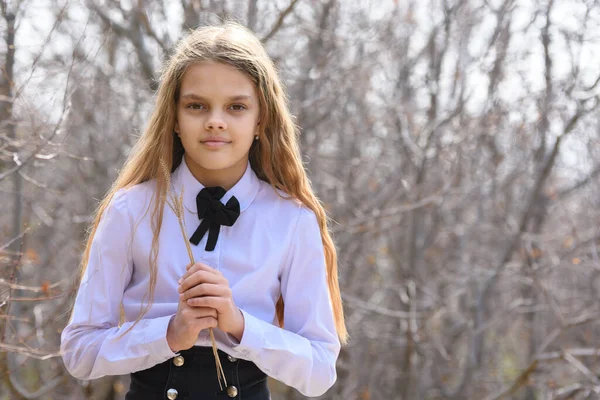 Portrait Beautiful Twelve Year Old Girl Dried Wildflowers Her Hands Stock Picture