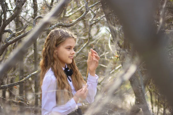 Girl Stands Dried Wildflowers Foreground Background Blurred Branches Bushes Forest Royalty Free Stock Images