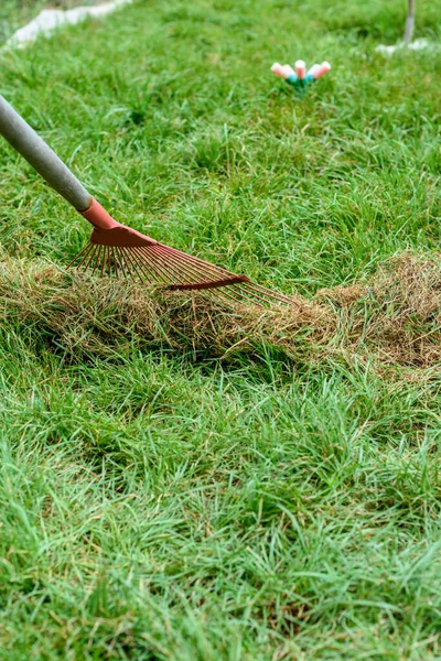 Handmatig Plukken Van Gemaaid Gras Met Een Ventilatorhark — Stockfoto