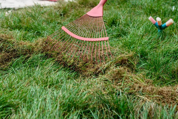 Limpeza Cortar Grama Com Ancinho Ventilador — Fotografia de Stock