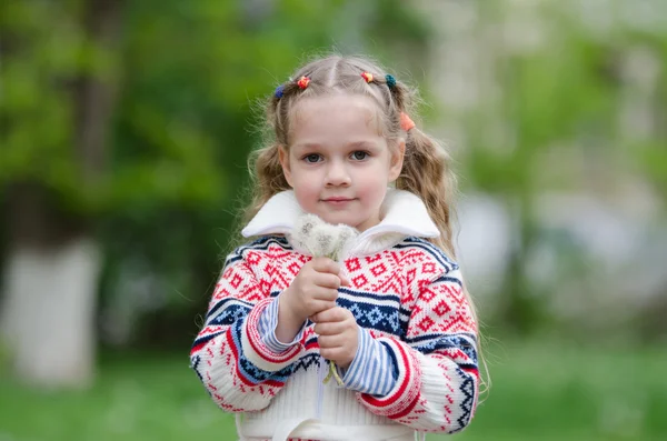 Portret vierjarig meisje met witte boeket paardebloemen in de handen van — Stockfoto