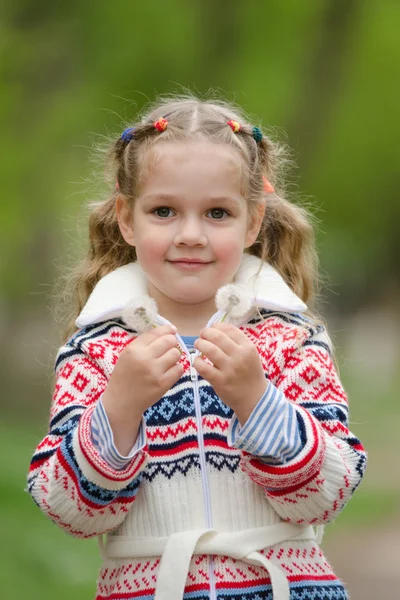 Portret van een meisje met paardebloemen in handen — Stockfoto