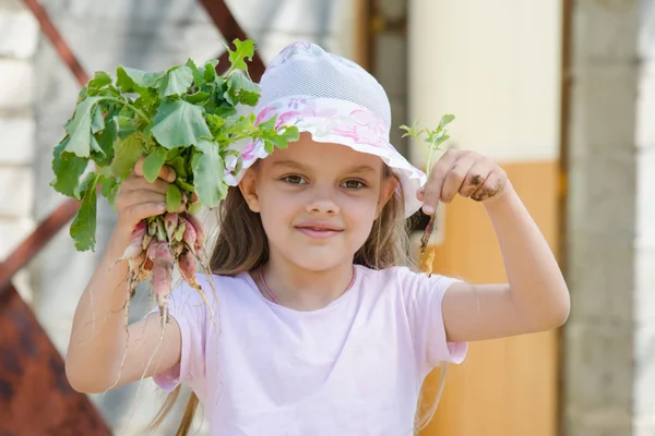 Meisje oogst radijs — Stockfoto