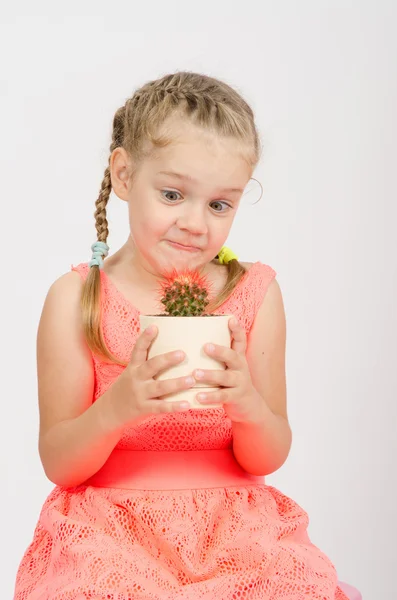 La chica mira un cactus en la olla — Foto de Stock