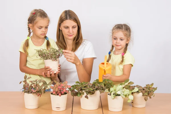 Anne ve kızı düşünün ve houseplants sulama — Stok fotoğraf