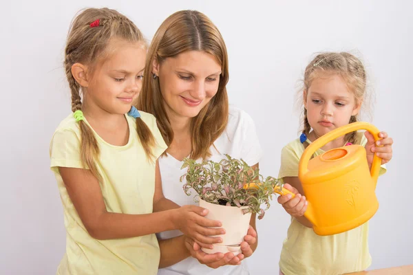 母亲和女儿浇水盆栽植物 — 图库照片