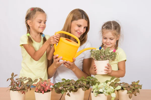 Радостная мать и дети поливают цветы — стоковое фото