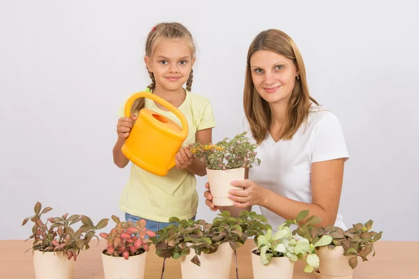 Мама и дочь заботятся о цветочных горшках — стоковое фото