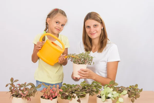 Мама и дочь поливают комнатные растения — стоковое фото