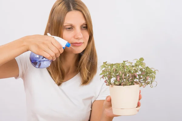 Niña regando una flor del aspersor — Foto de Stock