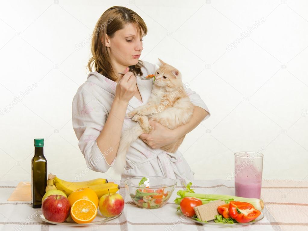 Dissatisfied cat sniffs offered her a spoonful of vegetable salad