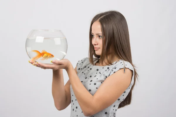 A young girl looks at a goldfish — Stockfoto
