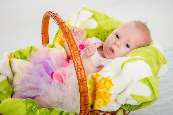 Le bébé de deux mois couché dans un panier — Photo