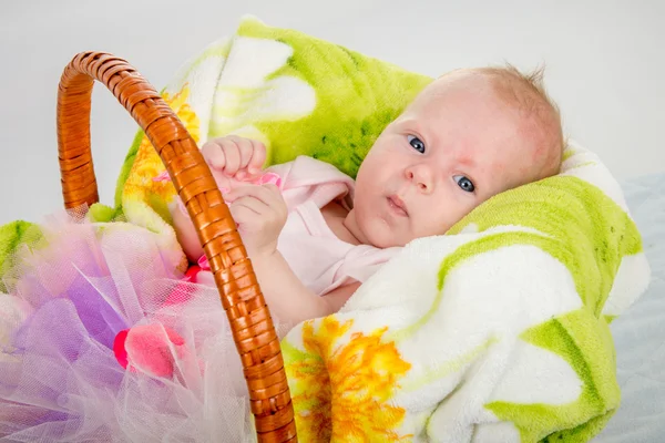 Le bébé de deux mois couché dans un panier sur une couverture — Photo