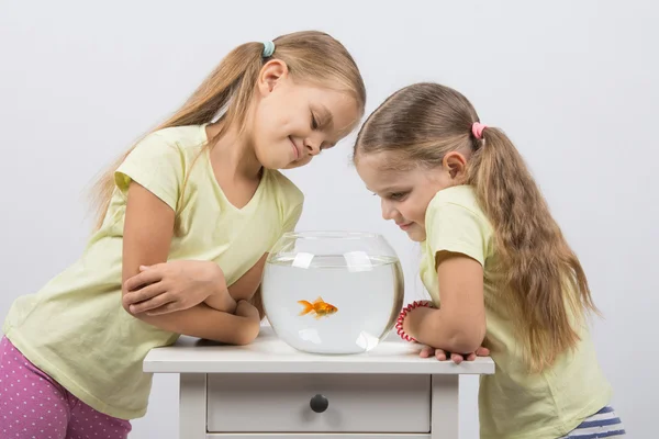 Две девочки смотрят на золотую рыбку — стоковое фото