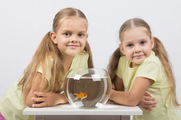 Dos chicas se sientan en un acuario redondo con peces de colores y miran en el marco — Foto de Stock