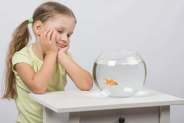 Four-year girl is looking at a goldfish in an aquarium — Stock Photo, Image