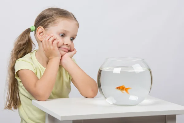 Four-year girl admires a goldfish in an aquarium — Stock Photo, Image