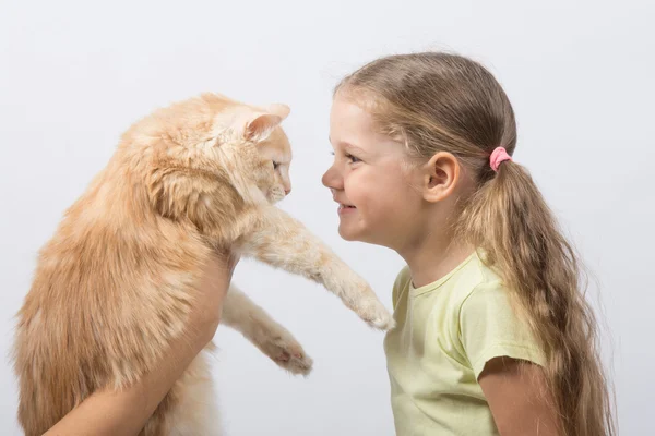 Čtyřletou dívku dal kočka — Stock fotografie