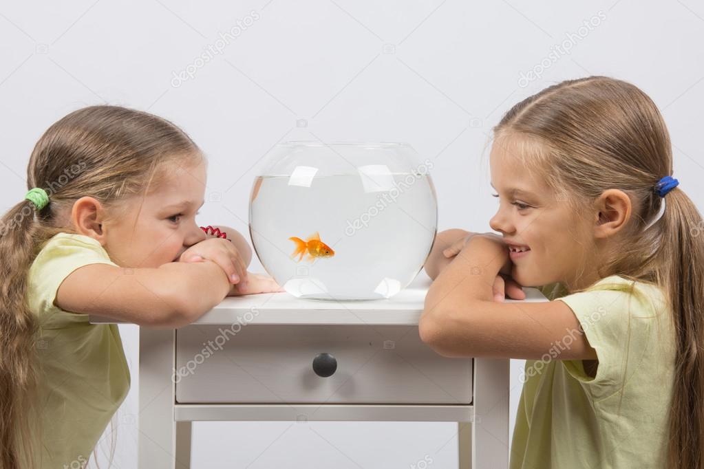 The girls watching the behavior of goldfish
