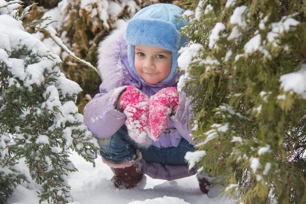 女孩躲在白雪覆盖的毛皮树木 图库图片